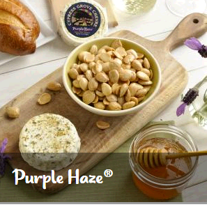 purple-haze-merchants-market-group