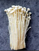 ENOKI MUSHROOM