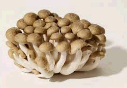 HON SHEMIJI MUSHROOM