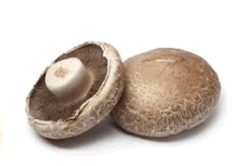 PORTABELLA MUSHROOMS