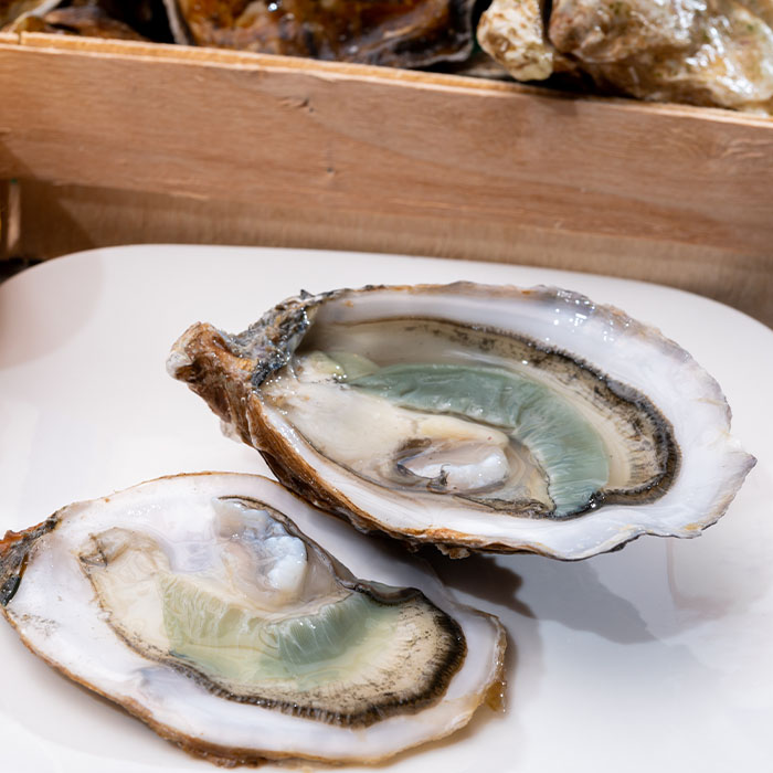 oyster in white plate